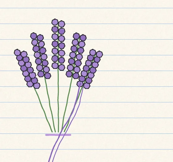 Lukisan lavender